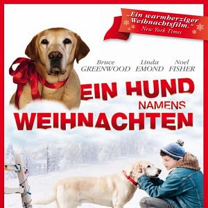 Bilder Ein Hund namens Weihnachten