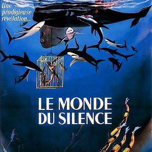 Bilder Schweigende Welt