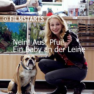Bilder Nein! Aus! Pfui! Ein Baby an der Leine