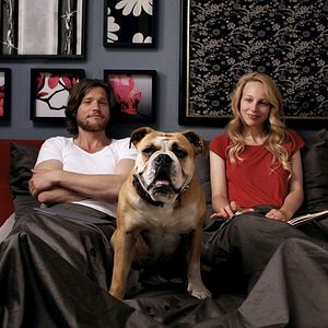 Bilder Nein! Aus! Pfui! Ein Baby an der Leine