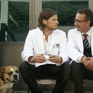 Bilder Nein! Aus! Pfui! Ein Baby an der Leine