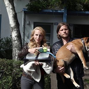 Bilder Nein! Aus! Pfui! Ein Baby an der Leine