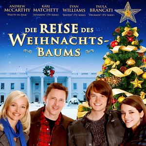 Bilder Die Reise des Weihnachtsbaums