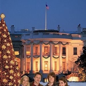 Bilder Die Reise des Weihnachtsbaums