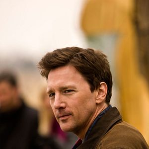 Bilder Die Reise des Weihnachtsbaums