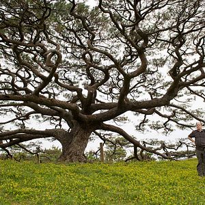 Bilder Gabriel Arcand