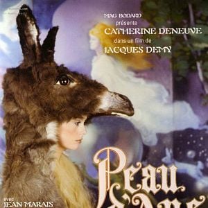 Bilder Die Eselshaut