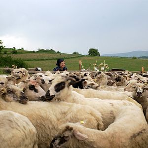 Bilder Off the Beaten Track