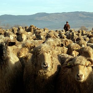 Bilder Off the Beaten Track