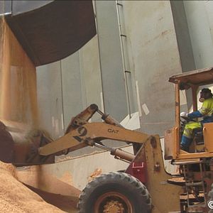 Bilder Tous Cobayes?