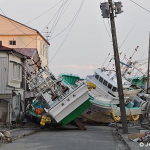 Bilder Tous Cobayes?