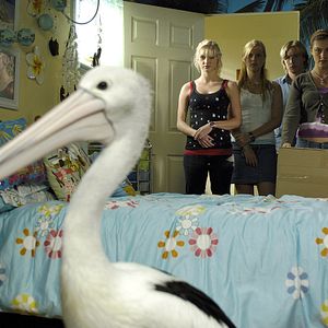 Bilder Angus McLaren