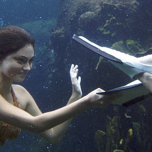Bilder H2O - Plötzlich Meerjungfrau
