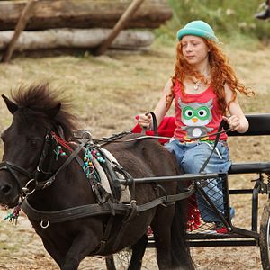 Bilder Mein Freund Shadow - Abenteuer auf der Pferdeinsel