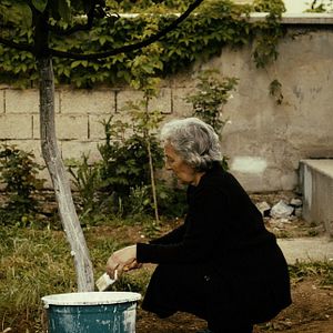 Bilder Babamin Sesi - Die Stimme meines Vaters