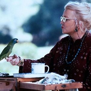 Bilder Paulie, ein Plappermaul macht seinen Weg