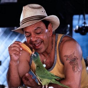 Bilder Paulie, ein Plappermaul macht seinen Weg