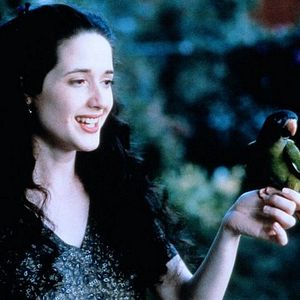 Bilder Paulie, ein Plappermaul macht seinen Weg