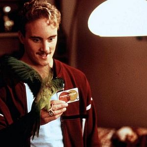 Bilder Paulie, ein Plappermaul macht seinen Weg