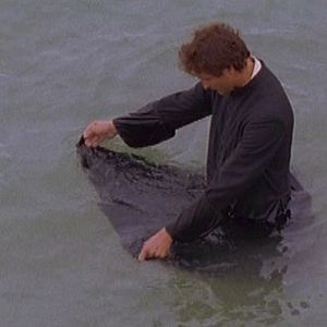 Bilder Vita Di Giacomo