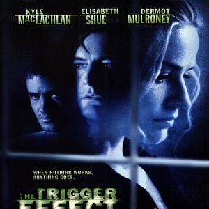 Bilder Trigger Effect - Eine Stadt im Ausnahmezustand