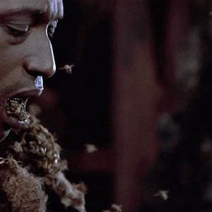 Bilder Candymans Fluch