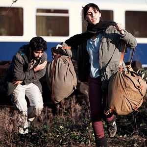 Bilder Tatort: Fette Hunde