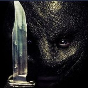 Bilder The Collection - The Collector 2