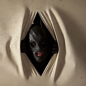 Bilder The Collection - The Collector 2