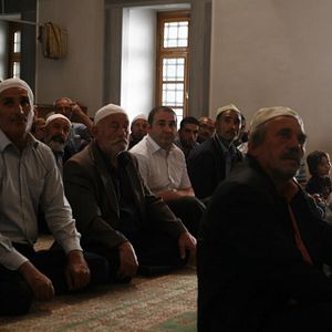 Bilder G.D.O. KaraKedi