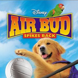 Bilder Air Bud 5 - Vier Pfoten schlagen auf