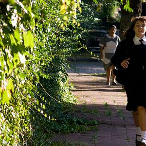 Bilder Der deutsche Freund