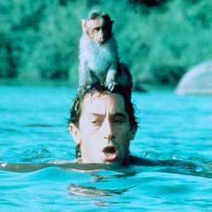 Bilder Hanuman - Im Königreich der Affen