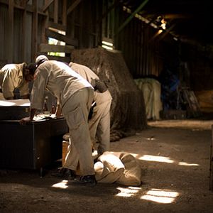 Bilder Corruption.Gov