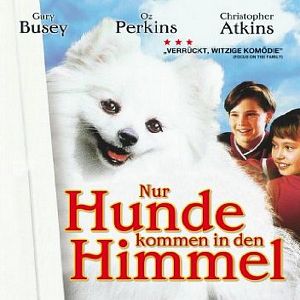Bilder Nur Hunde kommen in den Himmel