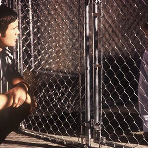 Bilder Nur Hunde kommen in den Himmel