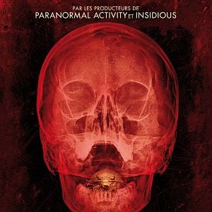 Bilder The Bay - Nach Angst kommt Panik