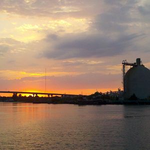 Bilder The Bay - Nach Angst kommt Panik