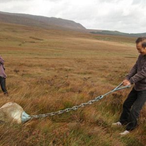 Bilder Breathing Earth - Susumu Shingus Traum