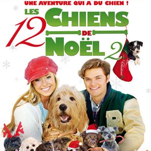 Bilder Einsatz auf vier Pfoten 2