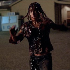 Bilder Rites of Spring