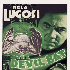 Bilder The Devil Bat