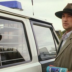 Bilder Zugvögel ... Einmal nach Inari