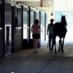 Bilder Das vergessene Pferd - Saving Winston