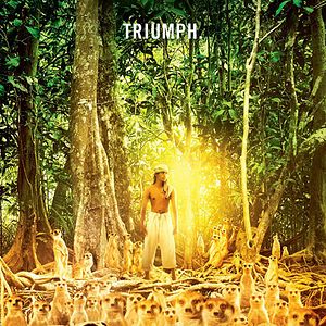 Bilder Life of Pi: Schiffbruch mit Tiger