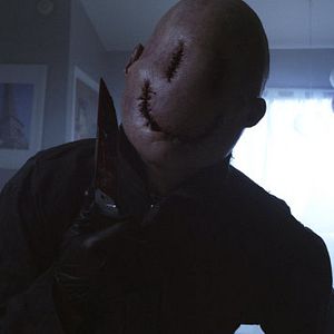 Bilder Michael Traynor