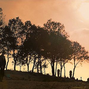 Bilder The Butterfly's Dream - Kelebegin Rüyasi