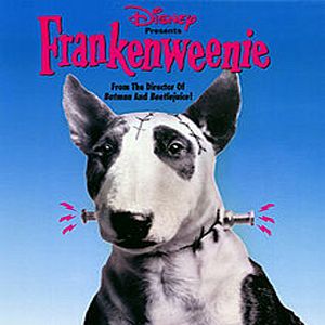 Bilder Frankenweenie