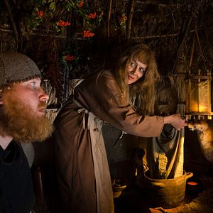 Bilder Die verrückten Wikinger