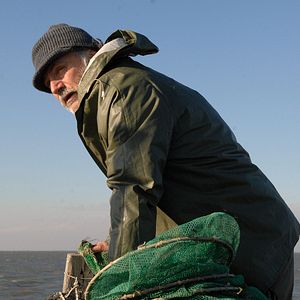 Bilder Rade Šerbedžija